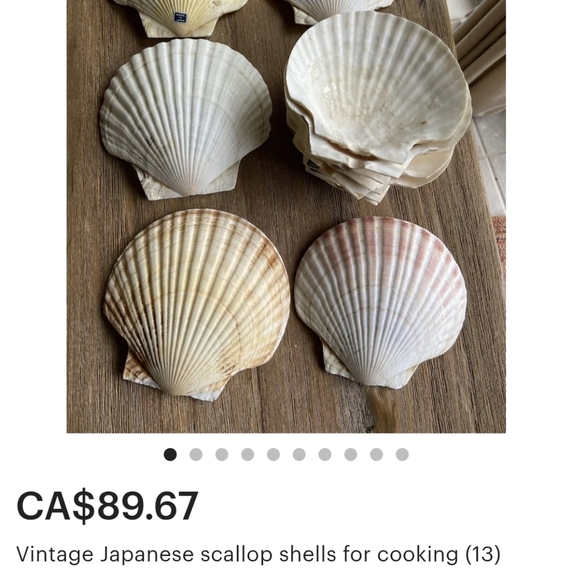 LOT Japanese Scallop Shells for Cooking - Picture 8 of 8